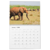Elephant Calendar  (Jan 2025)