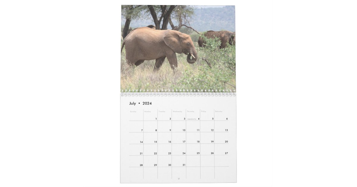 Elephant Calendar | Zazzle