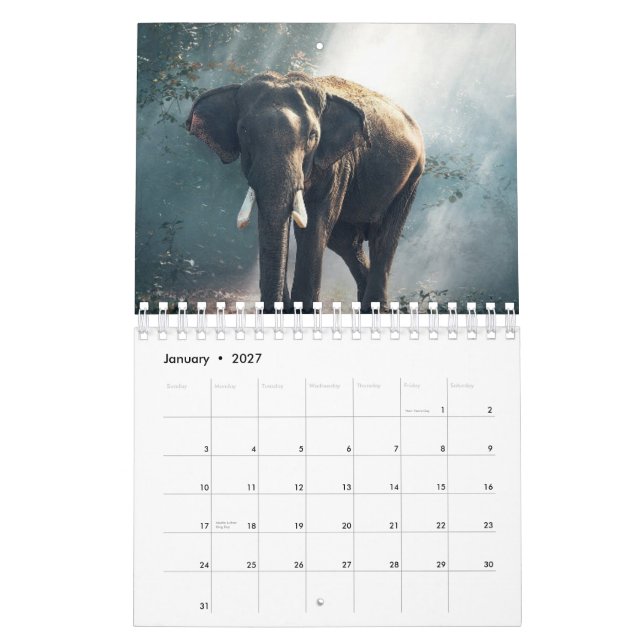 Elephant Calendar (Jan 2027)