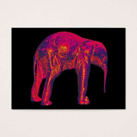 Elephant Calf, Red/Pink, Black Back (Front)