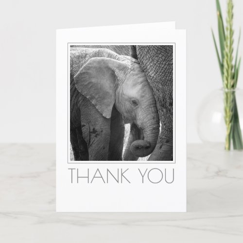 Elephant Calf Staying Close Thank You Card