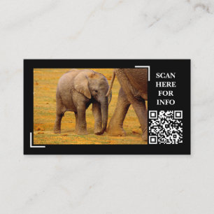 Elephant Calf Wildlife Photography Custom Business Card
