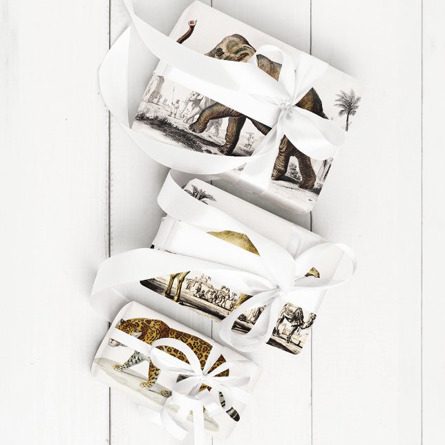Elephant, Camel and Leopard by D'Orbigny Wrapping Paper Sheets (Creator Uploaded)