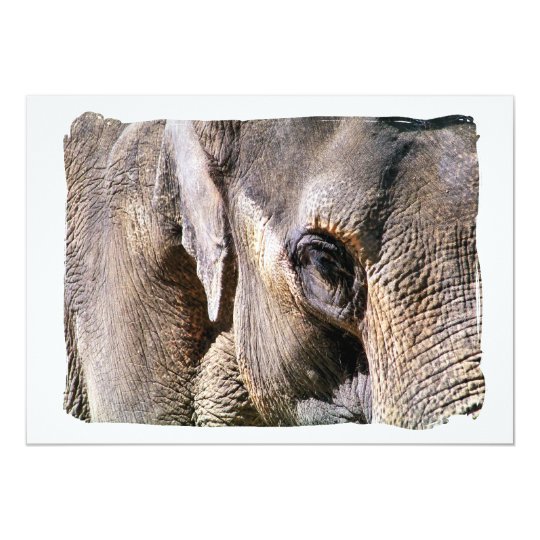 ELEPHANT CARD