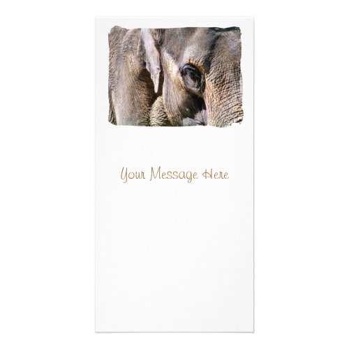 ELEPHANT CARD