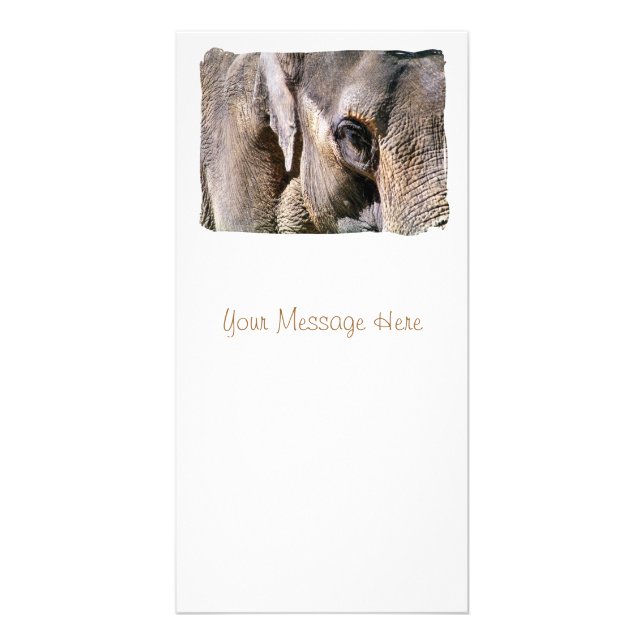 ELEPHANT CARD (Front)