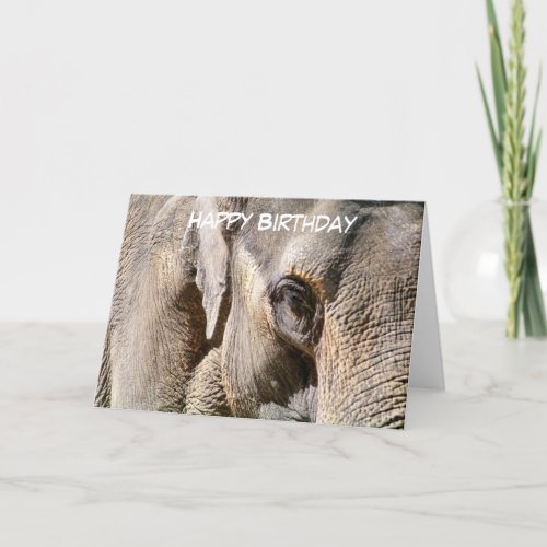 ELEPHANT CARD