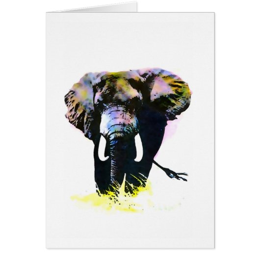 Elephant Cards (Front)