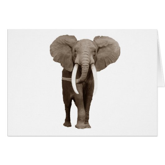 Elephant Cards (Front Horizontal)