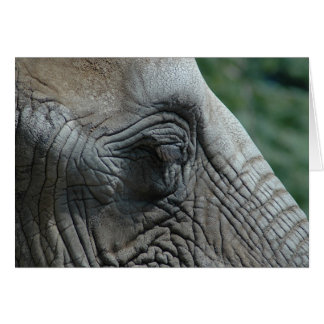Elephant Cards