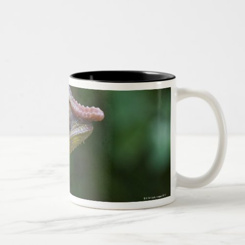 Elephant chameleon Madagascar Two_Tone Coffee Mug