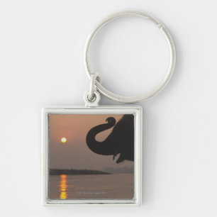 Elephant, Chitwan National Park, Nepal Keychain