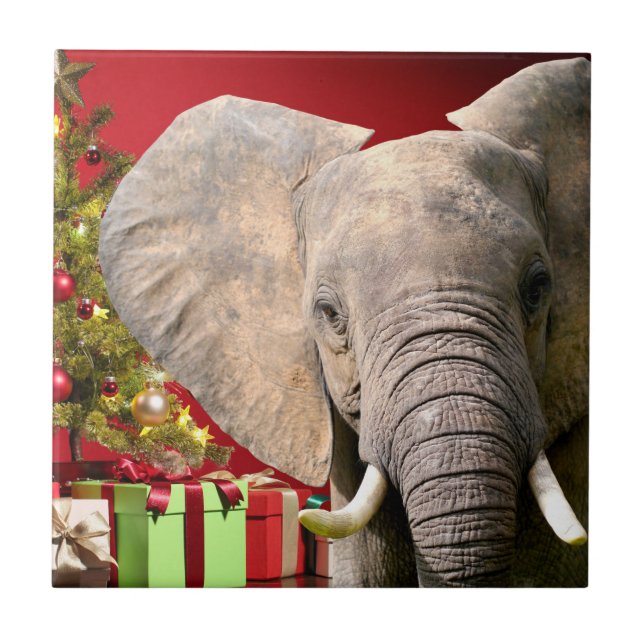 Elephant Christmas Greetings Ceramic Tile (Front)