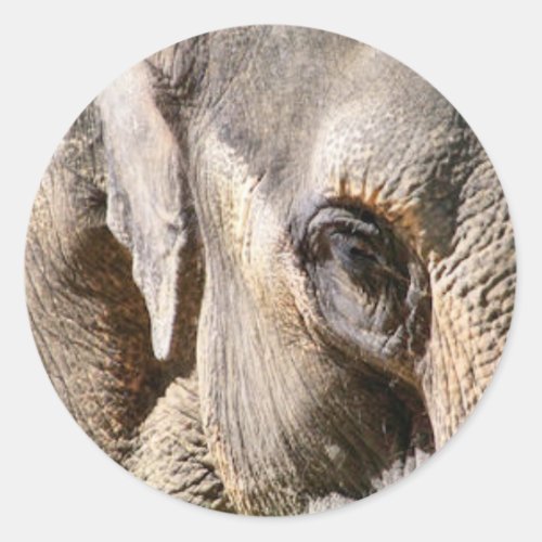 ELEPHANT CLASSIC ROUND STICKER