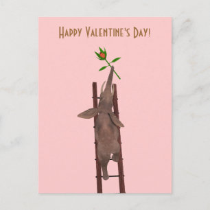 Elephant climbing a ladder holiday postcard