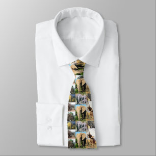 Elephant Color Photo Neck Tie