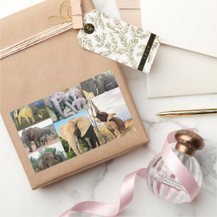 Elephant Color Photo Rectangular Sticker