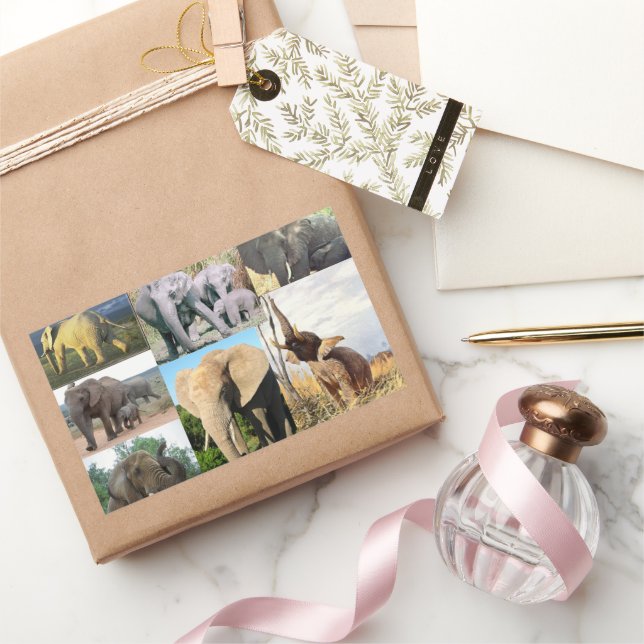 Elephant Color Photo Rectangular Sticker (Gifting)