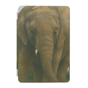 Elephant Companions in Savannah Light iPad Mini Cover