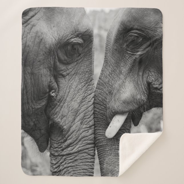 ELEPHANT COUPLE SHERPA BLANKET (Front)