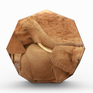 elephant custom personalize diy Anniversaries Acrylic Award