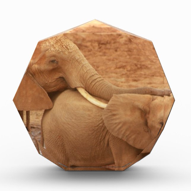 elephant custom personalize diy Anniversaries Acrylic Award (Front)