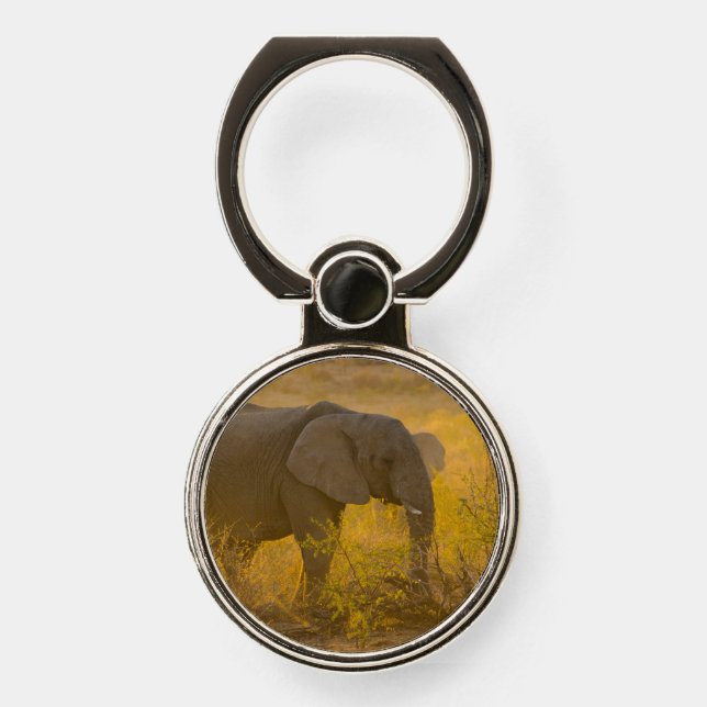 elephant cute phone ring stand (Front)