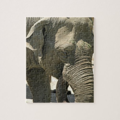 Elephant Design Jigsaw Puzzle