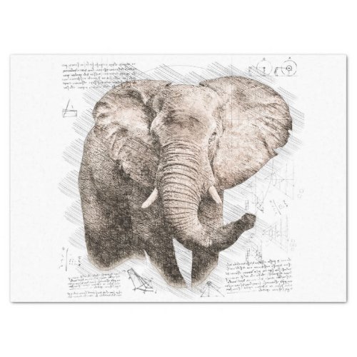 Elephant Drawing Tissue Paper