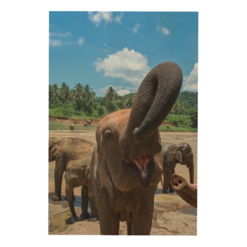 Elephant drinking water Sri Lanka Wood Wall Decor
