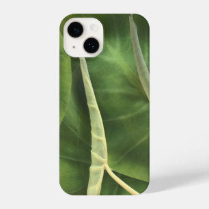 Elephant Ear Leaf Tropical Green Leaves iPhone 14 Case