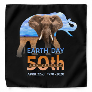 elephant anniversary gifts for him