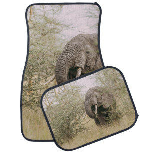 ELEPHANT EATING OFF A TREE CAR FLOOR MAT