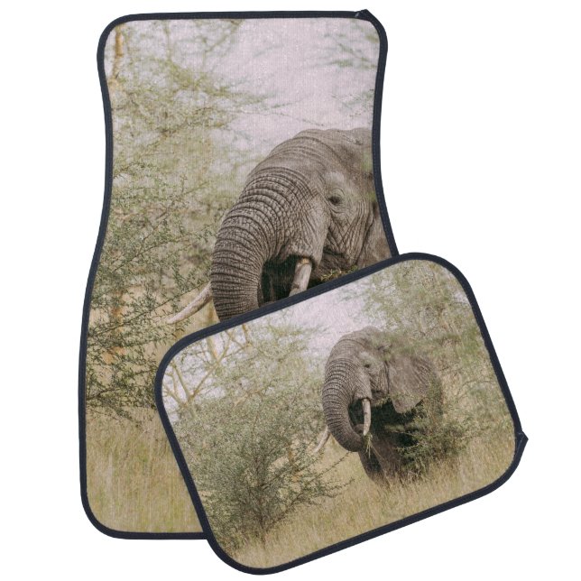 ELEPHANT EATING OFF A TREE CAR FLOOR MAT (Set)