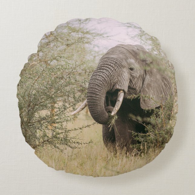 ELEPHANT EATING OFF A TREE ROUND PILLOW (Front)