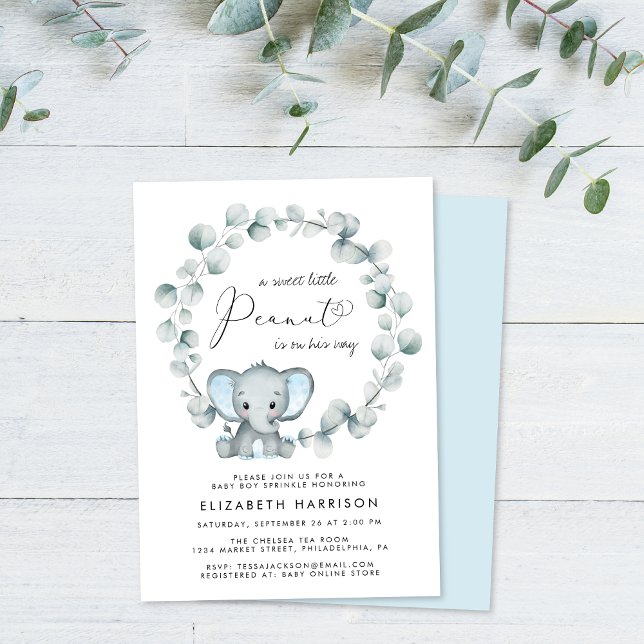 Elephant Eucalyptus Baby Boy Sprinkle Invitation (Creator Uploaded)