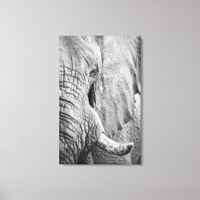 Elephant Eye Canvas Print (Front)