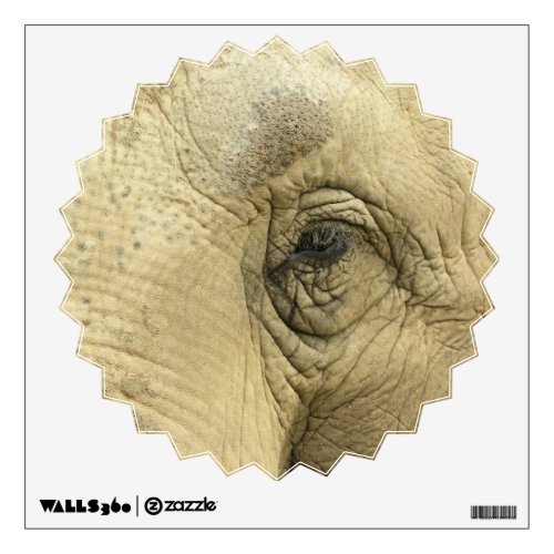 Elephant Eye Closeup Wall Decals