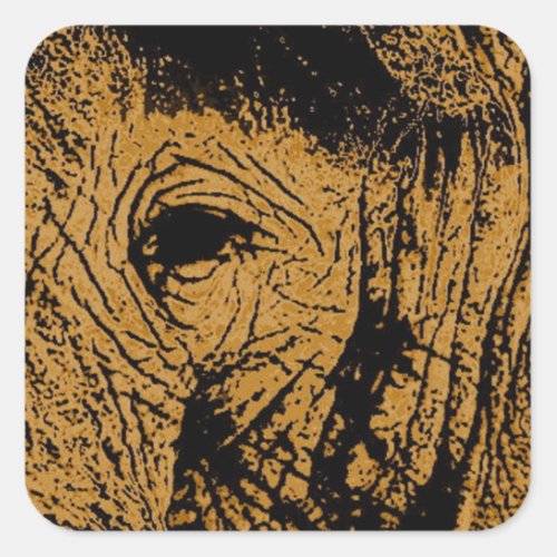Elephant Eye Square Sticker