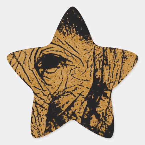 Elephant Eye Star Sticker