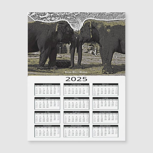 Elephant Eyes 2025 Calendar (Front)