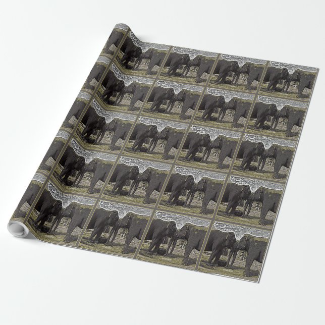 Elephant Eyes Wrapping Paper (Unrolled)