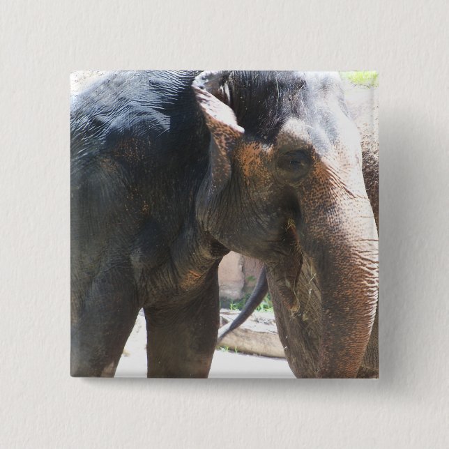 Elephant face button (Front)