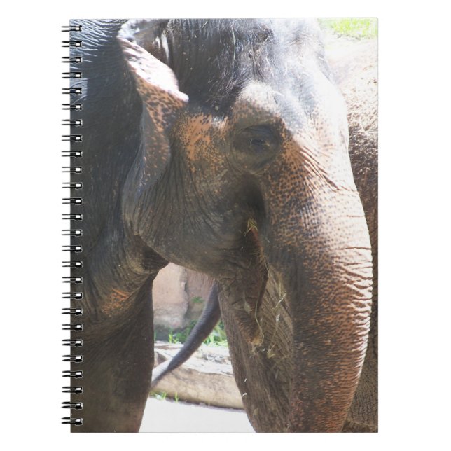 Elephant face notebook (Front)