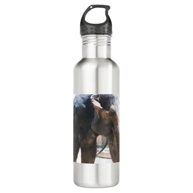 Elephant face stainless steel water bottle (Front)