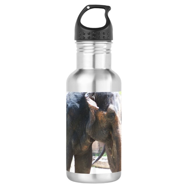 Elephant face stainless steel water bottle (Front)