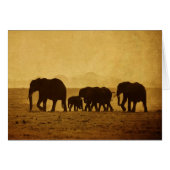 Elephant Family (Front Horizontal)