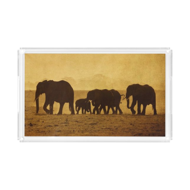 Elephant Family Acrylic Tray (Front)