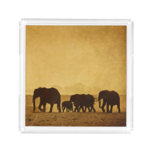 Elephant Family Acrylic Tray