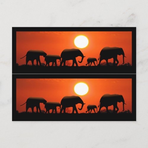 Elephant Family Book Markers Postcard